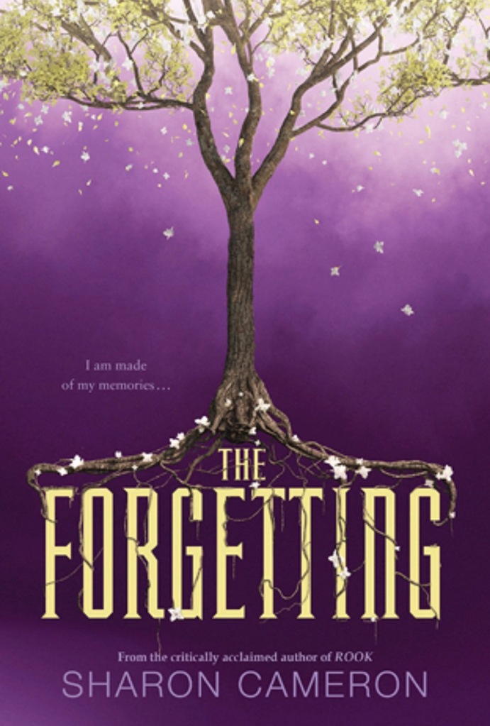 the forgetting book